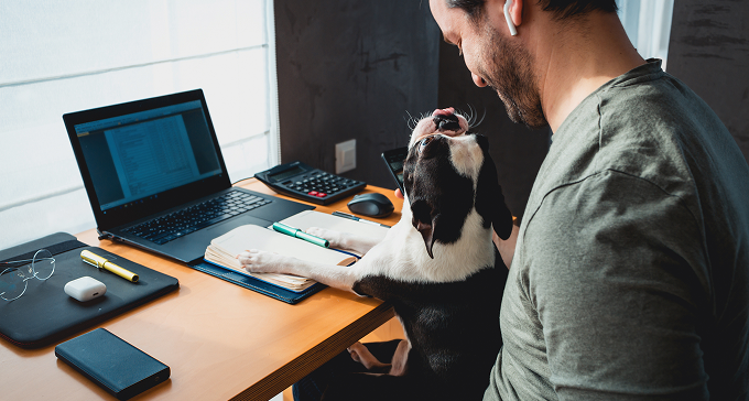 man working at desk with dog during a meeting

